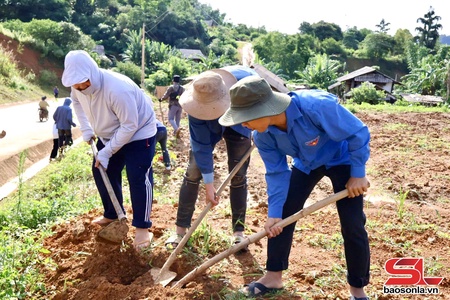 Ra quân trồng cây, chỉnh trang khu dân cư nông thôn