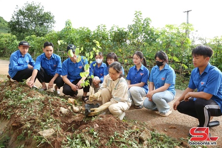 Công trình hàng cây thanh niên tại bản Hôm
