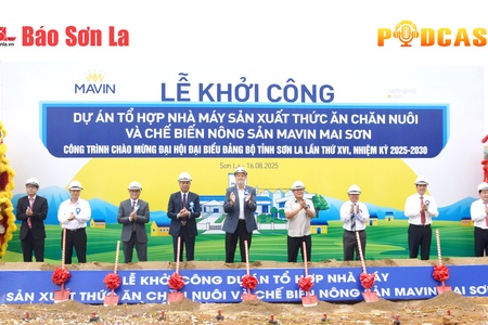 Bản tin Podcast ngày 16/8/2025