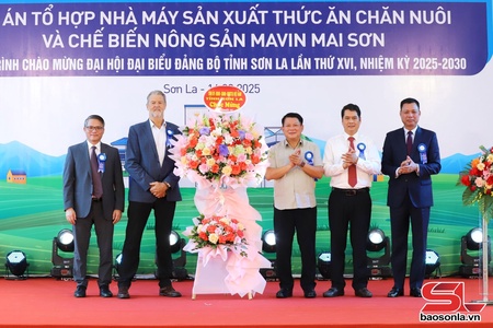 Lễ khởi công tổ hợp nhà máy sản xuất thức ăn chăn nuôi và chế biến nông sản Mavin Mai Sơn
