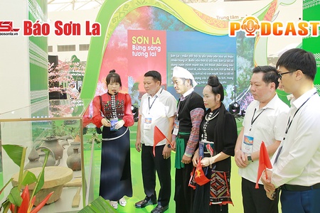 Bản tin Podcast ngày 28/8/2025