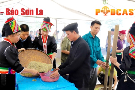 Bản tin Podcast ngày 30/8/2025