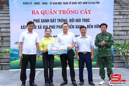 Gia Phù trồng cây phủ xanh đất trống, đồi núi trọc