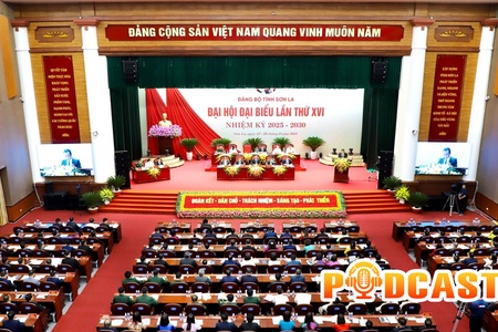 Bản tin Podcast ngày 27/9/2025