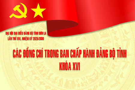 Danh sách Ban Chấp hành Đảng bộ tỉnh khoá XVI, nhiệm kỳ 2025-2030