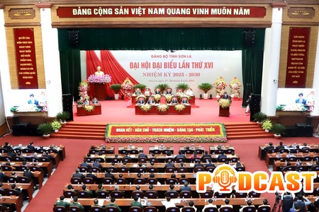 Bản tin Podcast ngày 29/9/2025