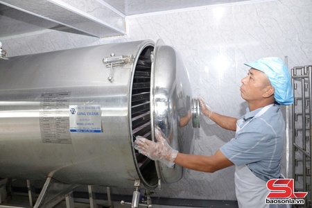 Tân Yên phát triển các sản phẩm OCOP