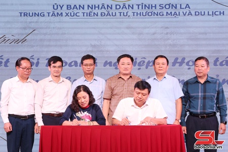 Kết nối doanh nghiệp – hợp tác xã trong chuỗi giá trị nông sản