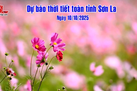 Dự báo thời tiết toàn tỉnh Sơn La ngày 10/10/2025