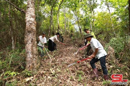 Động lực để cộng đồng bảo vệ và phát triển rừng