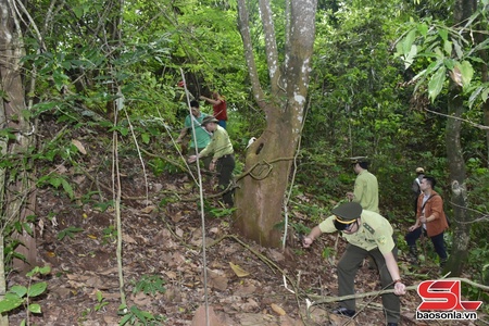 "Bám rừng, bám bản” phòng chống cháy mùa khô hanh