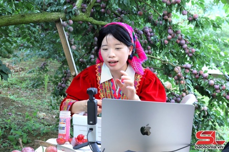 Thúc đẩy phát triển chuyển đổi số