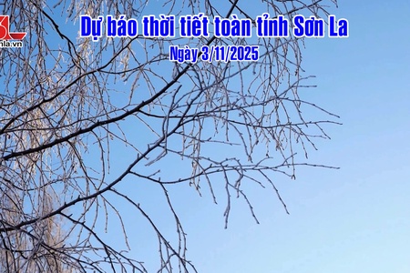 Dự báo thời tiết toàn tỉnh Sơn La ngày 3/11/2025
