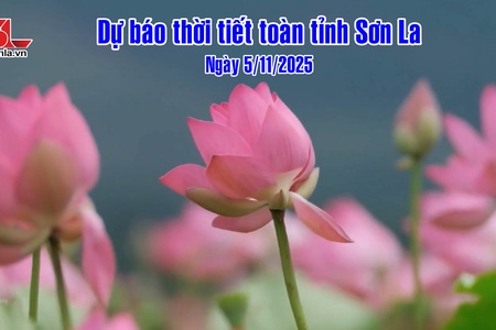 Dự báo thời tiết toàn tỉnh Sơn La ngày 5/11/2025
