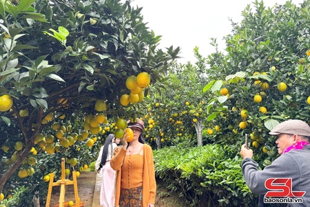 Phát triển du lịch xanh gắn với nông nghiệp tuần hoàn