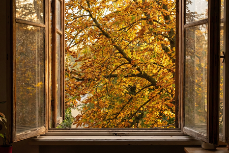 Truyện Podcast: Nỗi nhớ mùa đông