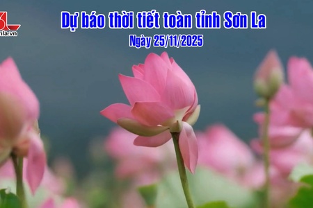 Dự báo thời tiết toàn tỉnh Sơn La ngày 25/11/2025