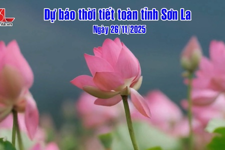 Dự báo thời tiết toàn tỉnh Sơn La ngày 26/11/2025
