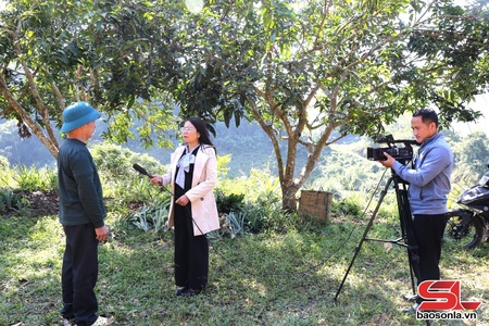  Ổn định hoạt động Trung tâm Dịch vụ tổng hợp