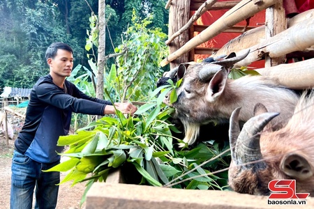 Đổi thay ở Nậm Ty