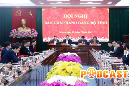 Bản tin Podcast ngày 7/12/2025