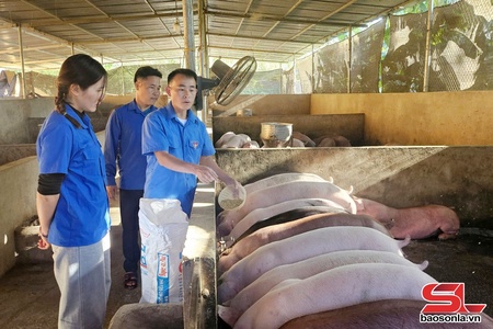 Tuổi trẻ xã Bắc Yên chung tay xây dựng nông thôn mới