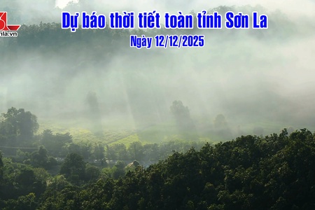 Dự báo thời tiết toàn tỉnh Sơn La ngày 12/12/2025