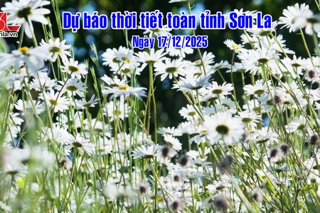 Dự báo thời tiết toàn tỉnh Sơn La ngày 17/12/2025