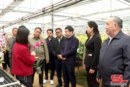 Đoàn đại biểu Mặt trận Lào xây dựng đất nước tỉnh Hủa Phăn và Luông Pha Bang thăm các mô hình kinh tế và du lịch tại Mộc Châu