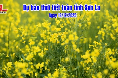 Dự báo thời tiết toàn tỉnh Sơn La ngày 18/12/2025