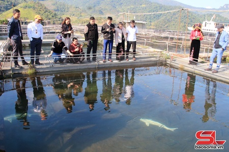 Liên kết để phát triển du lịch bền vững