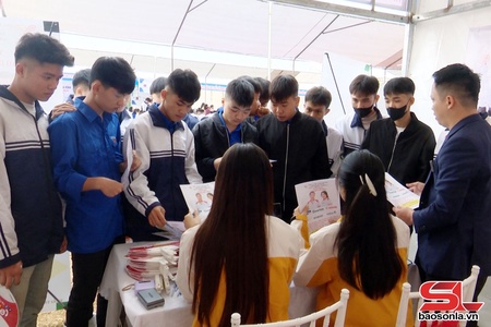 Tư vấn hướng nghiệp việc làm cho lao động xã Phù Yên