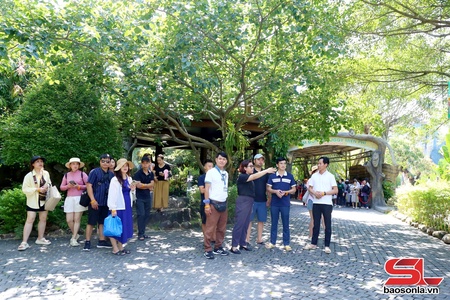 Phát huy vai trò cầu nối thúc đẩy du lịch phát triển