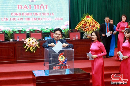 Phiên thứ nhất Đại hội Công đoàn tỉnh Sơn La lần thứ XVI, nhiệm kỳ 2025-2030