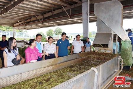 Hiệu quả hoạt động ngoại giao kinh tế