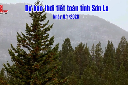 Dự báo thời tiết toàn tỉnh Sơn La ngày 6/1/2026