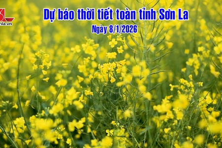 Dự báo thời tiết toàn tỉnh Sơn La ngày 8/1/2026