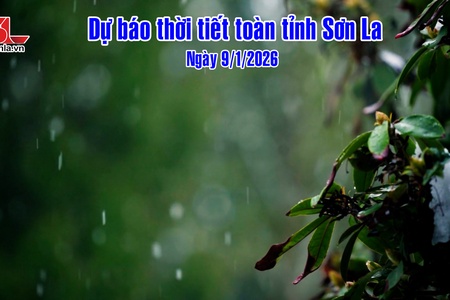 Dự báo thời tiết toàn tỉnh Sơn La ngày 9/1/2026