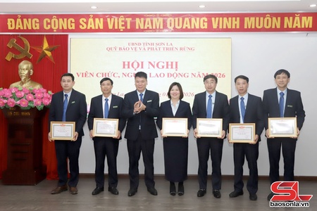 Triển khai thực hiện chính sách chi trả dịch vụ môi trường rừng