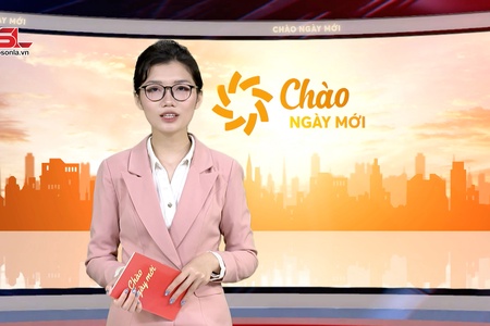 Chào ngày mới 14/2/2026