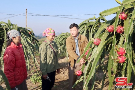 Thi đua “Dân vận khéo" - Thực chất, hiệu quả
