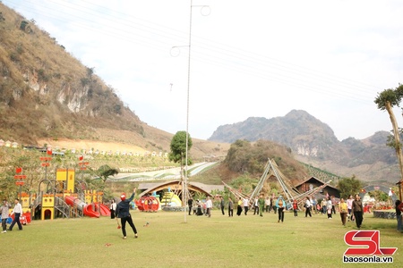 Mộc Châu sẵn sàng đón du khách dịp Tết Nguyên Đán