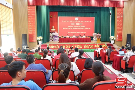 Mong muốn đại biểu trúng cử kịp thời chuyển tải kiến nghị chính đáng của cử tri