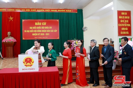 Tỷ lệ cử tri tỉnh Sơn La đi bầu cử đạt 99,72%