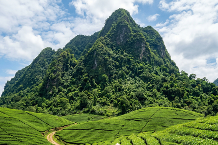 Truyện podcast: Dưới chân núi Sàn Phàng