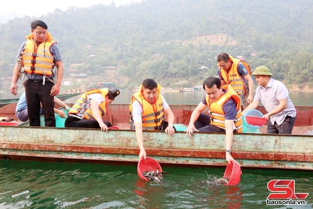 Mường Khiêng thả 45.000 cá giống tái tạo nguồn lợi thủy sản