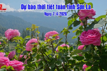 Dự báo thời tiết toàn tỉnh Sơn La ngày 7/4/2026