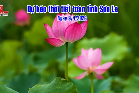 Dự báo thời tiết toàn tỉnh Sơn La ngày 9/04/2026