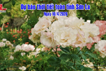Dự báo thời tiết toàn tỉnh Sơn La ngày 10/4/2026