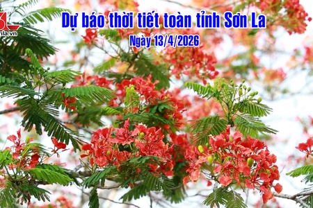 Dự báo thời tiết toàn tỉnh Sơn La ngày 13/04/2026